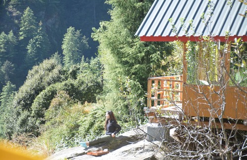Banjar Cabin | Cozy Tree House: Pet-Friendly Retreat for Families