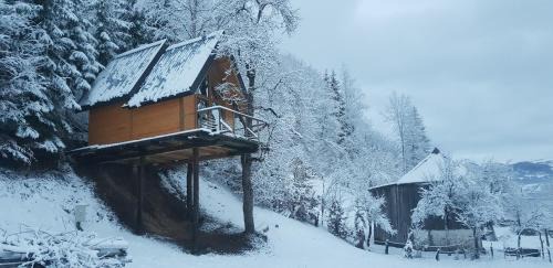 Montenegro Ski Chalet | Experience Tree House Living with 9.9/10 Guest Ratings