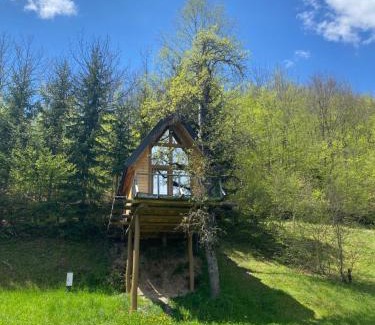 Montenegro Ski Chalet | Experience Tree House Living with 9.9/10 Guest Ratings