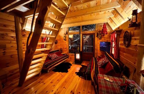Montenegro Ski Chalet | Experience Tree House Living with 9.9/10 Guest Ratings