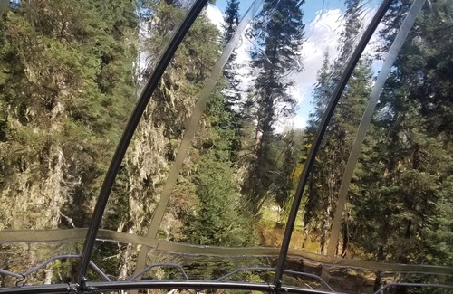 West Glacier Resort | Enchanting Tree House Tent Cocoon #01 - Family Friendly Retreat