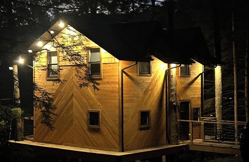 Benezette Cabin | Cozy Tree House Retreat with Wi-Fi and Kitchen Amenities