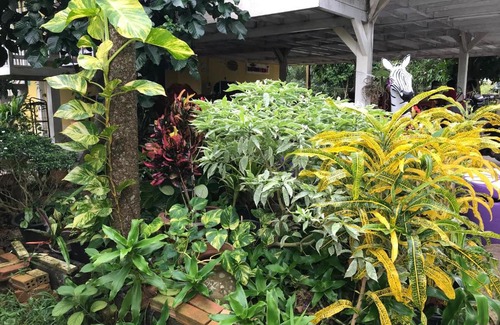 Ban Wang Hom Cabin | Family-Friendly Retreat at Tree in Town with Pet Perks