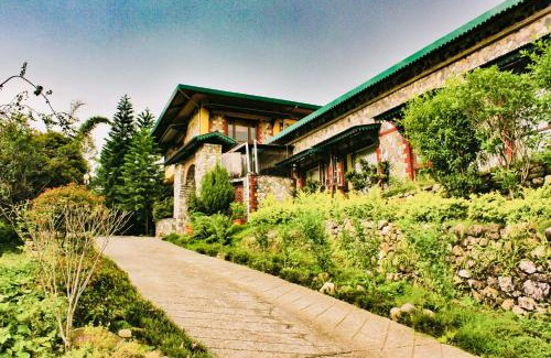Bigha Resort | Discover Tree of Life Resort: Your Dehradun Escape Awaits
