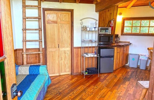 Cave Junction Resort | Unforgettable Tree Room Schoolhouse Suite with Pool Access