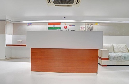 Palasia Hotel | Comfortable Stay at Treebo Cherry Tree with Great Amenities
