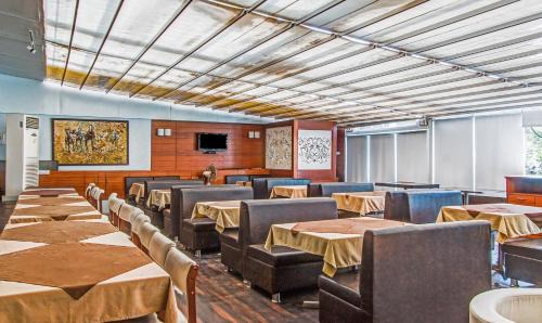 Palasia Hotel | Comfortable Stay at Treebo Cherry Tree with Great Amenities