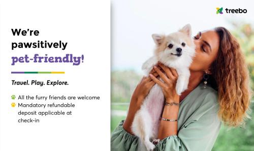 Baner Hotel | Comfortable Treebo Lotus Baner with Pet-Friendly Amenities