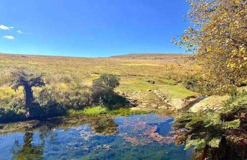 Emakhazeni Cabin | Treeferns Trout Lodge