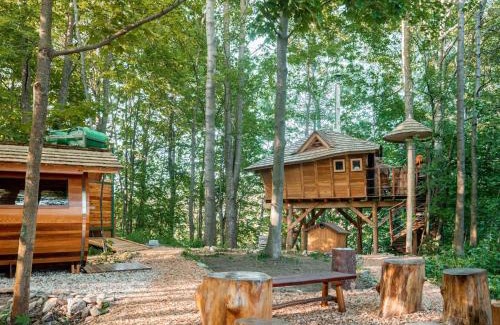 Cerveny Potok Other | Relax at Treehouse Sněžník with Wellness & Hot Tub Access
