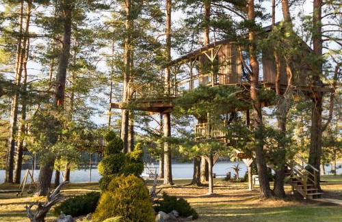 Priekuli Municipality House | Eco-Friendly Treehouse Čiekurs with Oceanfront Views