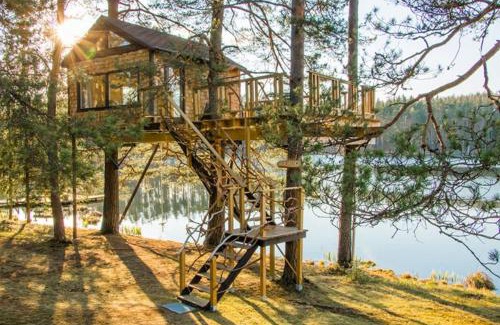 Priekuli Municipality House | Eco-Friendly Treehouse Čiekurs with Oceanfront Views