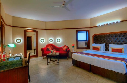 Jodhpur Hotel | Discover Treehouse Amaara: A Boutique Hotel with Pool & Breakfast
