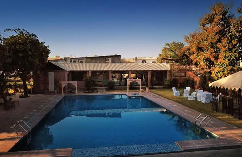 Jodhpur Hotel | Discover Treehouse Amaara: A Boutique Hotel with Pool & Breakfast