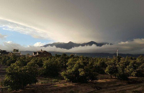 Fillmore Cottage | Treehouse and farm stay in Fillmore