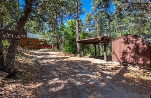 Ponderosa Park Cabin | Mountain Retreat: Treehouse Cabin with Family-Friendly Amenities
