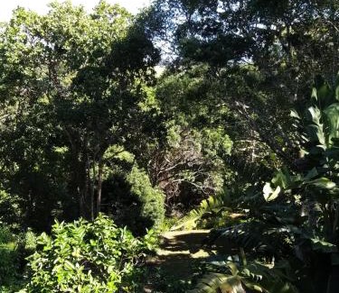 Die Barakke Apartment | Cozy Treehouse Cottage - Child Friendly & Guest Rated 9.4