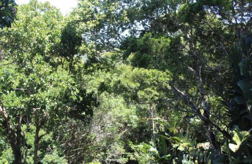 Die Barakke Apartment | Cozy Treehouse Cottage - Child Friendly & Guest Rated 9.4