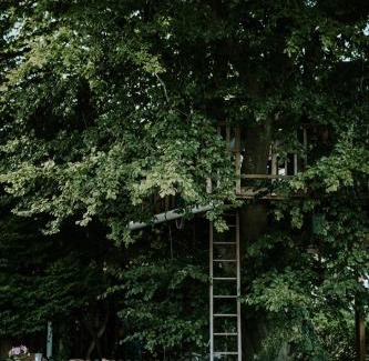 Kvaerndrup Other | Inviting Treehouse Escape with Family-Friendly Amenities