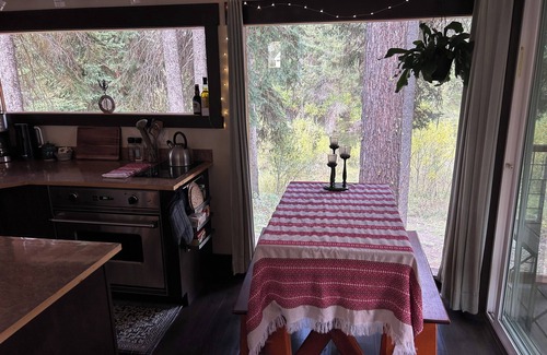 McCall Apartment | Treehouse Gem - Pet Friendly Riverfront Studio