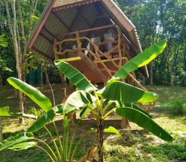 Ko Yao House | Unforgettable Treehouse Holidays with Oceanfront Views