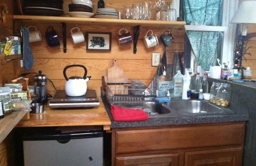 Martha Jefferson Cabin | Inviting Treehouse in Downtown Charlottesville with Spa & More