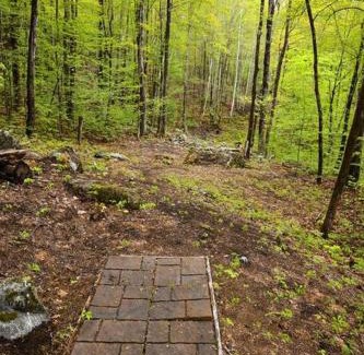 Stoneham House | Cozy Treehouse Escape in Maine Woods at The Grand Oak