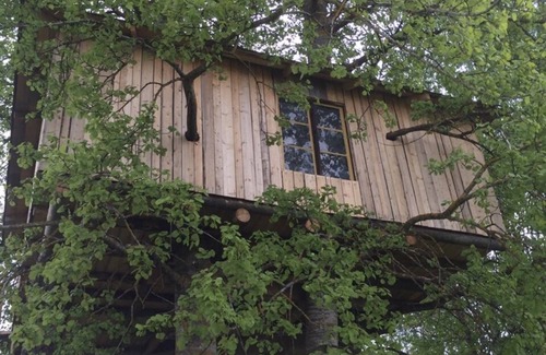 Avesta House | Unique Treehouse Magpies Nest with Inviting Bubble Pool