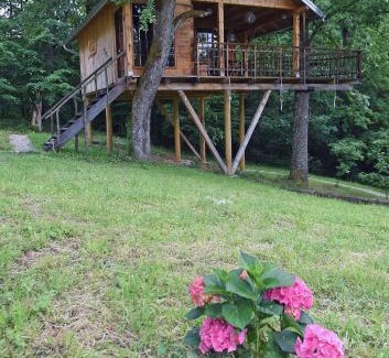 Cvetkovic Cabin | Unforgettable Treehouse Resnice - Mrežnica with Ocean View