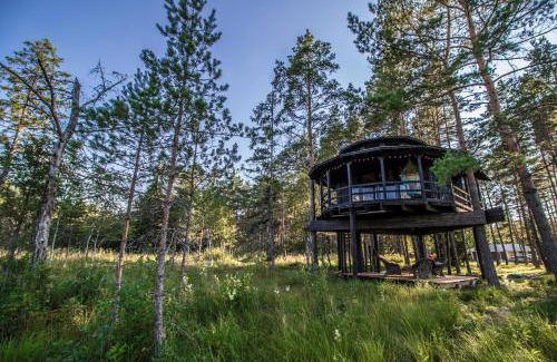 Saue Parish Cabin | Experience Unforgettable Stays at Sambliku Treehouse
