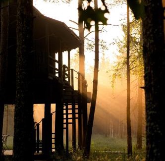 Saue Parish Cabin | Experience Unforgettable Stays at Sambliku Treehouse