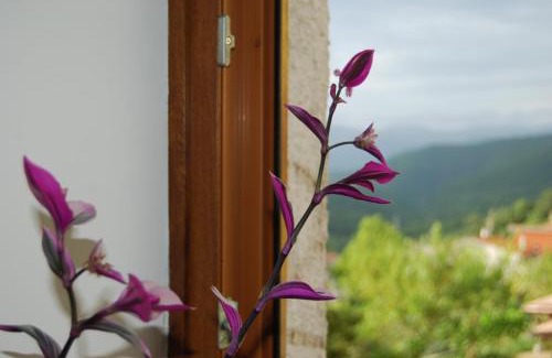 Longano Apartment | Modern TreeStay Apartment: Family-Friendly & Highly Rated