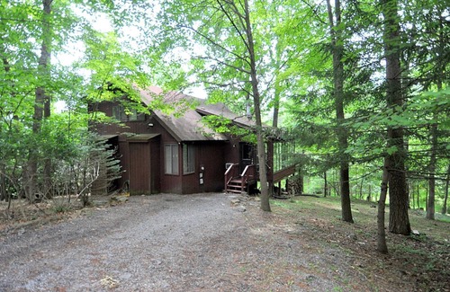 The Woods House | Cozy Treetop Cabin with Pool and Pet-Friendly Amenities