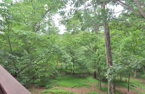 The Woods House | Cozy Treetop Cabin with Pool and Pet-Friendly Amenities