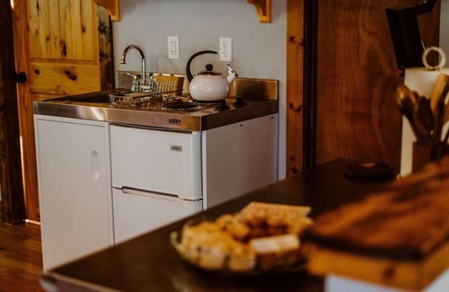 Dunlap House | Cozy Treetop Hideaway with Hot Tub & Mountainside Views