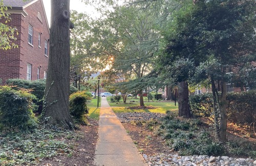 North Highland Apartment | Relaxing Treetop Rosslyn Loft - Steps from Georgetown
