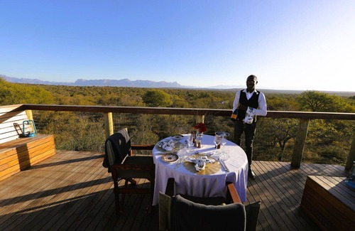 Hoedspruit Cottage | Experience the Treetop Sleepout Beneath Starry Skies