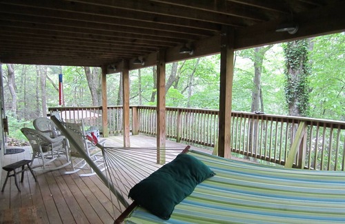 Montreat Cottage | Treetop Treasure Nestled Into The Blue Ridge Mountains