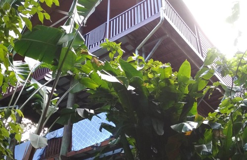 Bingil Bay House | Exceptional TreeTops By The Sea: Your Family Holiday Haven