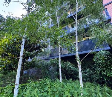 Toorak Apartment | Treetops in Toorak 2br midcentury entire apartment