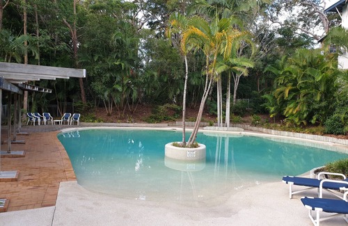 Rainbow Beach Apartment | Oceanfront Treetops Studio Apartment at Rainbow Beach Resort