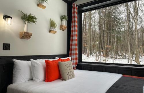 Lake George Hotel | Explore Trekker Treehouses: Pet-Friendly Oceanfront Retreat