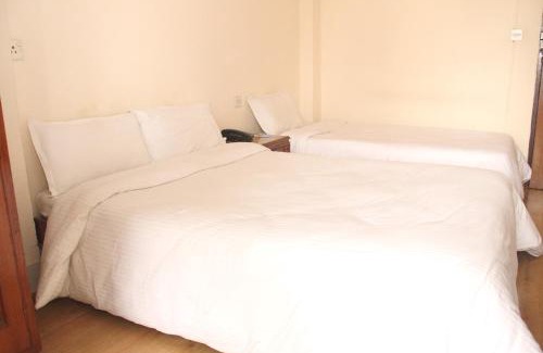 Thamel Hotel | Budget-Friendly Trekkers Home with Family & Pet Amenities