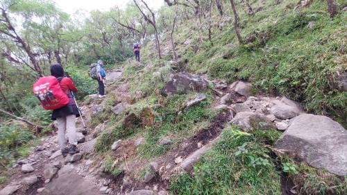 Gowa Other | Trekking and Camp Lembah Lohe 2D1N