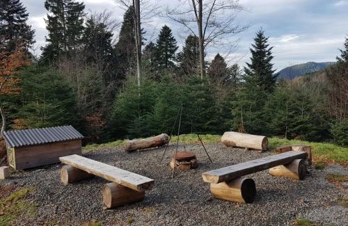 Bad Peterstal-Griesbach Other | Pet-Friendly TrekkingCamp Himmelsterrassen: Rated 9/10 by Guests