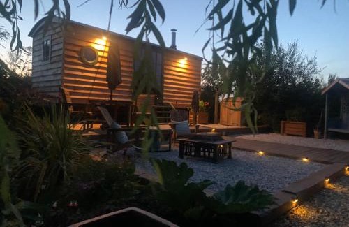 Otterham Other | Experience TREKLYS Shepherds Hut – Guest Rated 10/10