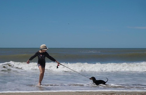 Mar de Cobo Apartment | Cozy Tres Cabos - Pet-Friendly Retreat in Nature's Embrace