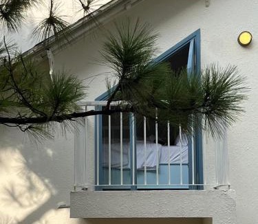 Da Lat Apartment | Experience Triền Thông An Nhiên: Pet-Friendly Retreat in Đà Lạt