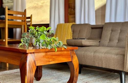 Barrio Dora House | Tribu Bungalows Romantic & Confortable 2