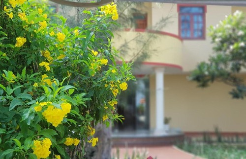 Tuy Phong Resort | Experience Tranquility at TRINITAS DU PARC RESORT & HOTEL